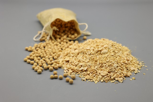 食品用大豆ミール